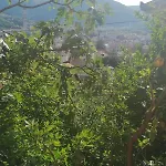 Affittacamere Panorama
