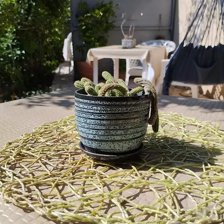 Panorama בית הארחה