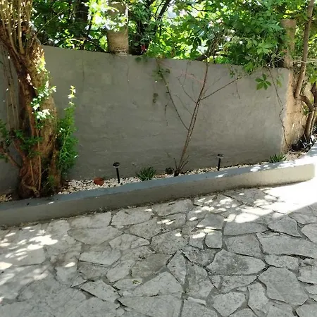 Panorama בית הארחה