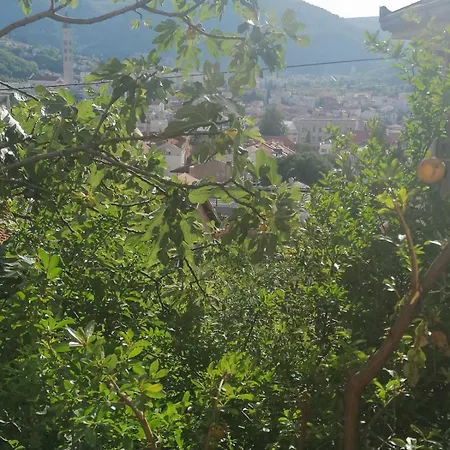 בית הארחה Panorama