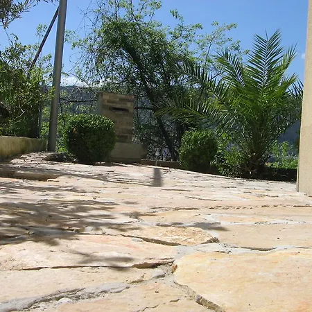 Panorama בית הארחה מוסטר